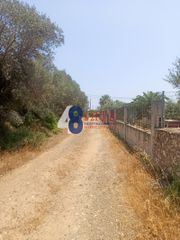 Οικόπεδο 9.900 τ.μ. για πώληση, Αργολίδα, Κρανίδι-thumb-5