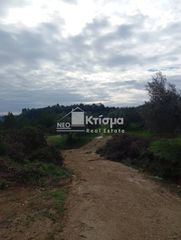 Αγροτεμάχια 25.137 τ.μ. για πώληση