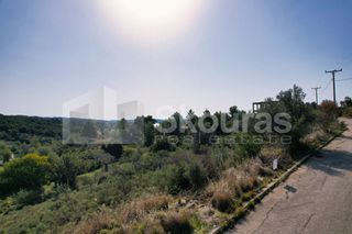 Οικόπεδο 400 τ.μ. για πώληση, Αργολίδα, Κρανίδι-thumb-21