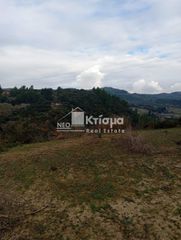 Αγροτεμάχια 4.066 τ.μ. για πώληση, Ν. Ηλείας, Ωλένη-thumb-6