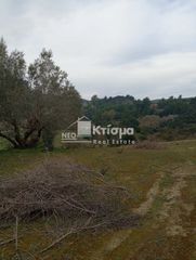 Αγροτεμάχια 4.066 τ.μ. για πώληση, Ν. Ηλείας, Ωλένη-thumb-5