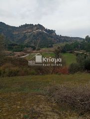 Αγροτεμάχια 4.066 τ.μ. για πώληση, Ν. Ηλείας, Ωλένη-thumb-1