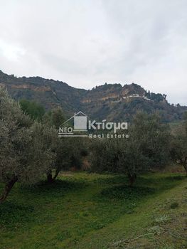 Αγροτεμάχια 4.066τ.μ. για πώληση-Ωλένη » Λάνθι