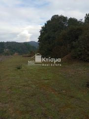 Αγροτεμάχια 4.066 τ.μ. για πώληση, Ν. Ηλείας, Ωλένη-thumb-2