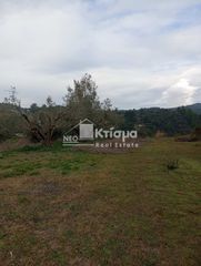 Αγροτεμάχια 4.066 τ.μ. για πώληση, Ν. Ηλείας, Ωλένη-thumb-3
