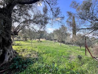 Οικόπεδο 1.820 τ.μ. για πώληση, Ν. Λευκάδας, Λευκάδα-thumb-6