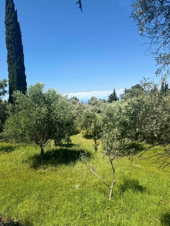 Οικόπεδο 1.820 τ.μ. πρός πώληση, Ν. Λευκάδας, Λευκάδα