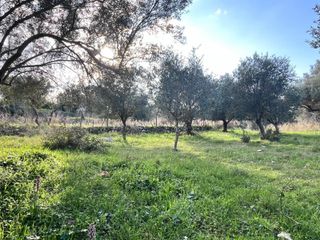 Οικόπεδο 1.820 τ.μ. για πώληση, Ν. Λευκάδας, Λευκάδα-thumb-4