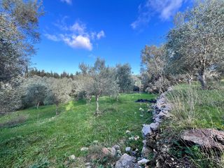 Οικόπεδο 1.820 τ.μ. για πώληση, Ν. Λευκάδας, Λευκάδα-thumb-9