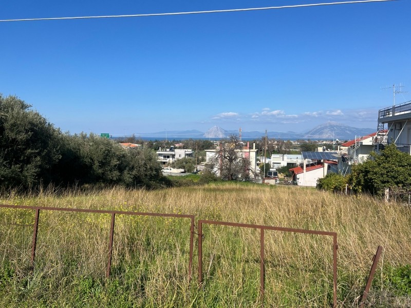 Οικόπεδο 1.540 τ.μ. προς πώληση, Μπάκαρι
