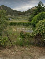 Αγροτεμάχια 5.300 τ.μ. πρός πώληση, Ν. Καβάλας, Παγγαίο-thumb-9