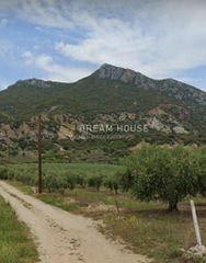 Αγροτεμάχια 5.300 τ.μ. πρός πώληση, Ν. Καβάλας, Παγγαίο-thumb-10
