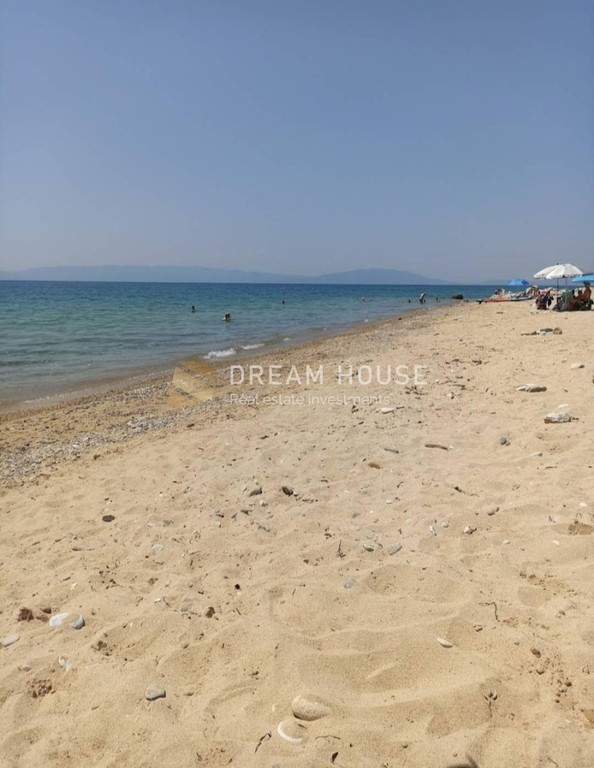 Αγροτεμάχια 5.300 τ.μ. πρός πώληση, Ν. Καβάλας, Παγγαίο