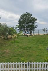 Αγροτεμάχια 5.300 τ.μ. πρός πώληση, Ν. Καβάλας, Παγγαίο-thumb-11