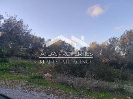 Land plot 2.100sqm for sale-Akrotiri » Kounoupidiana