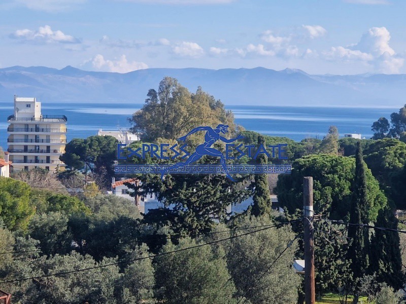Μονοκατοικία 155 τ.μ. πρός πώληση, Αθήνα - Ανατολικά Προάστια, Νέα Μάκρη