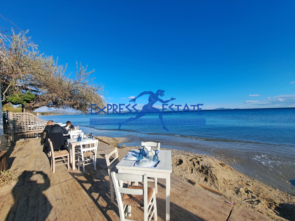 Μονοκατοικία 175 τ.μ. πρός ενοικίαση, Αθήνα - Ανατολικά Προάστια, Μαραθώνας