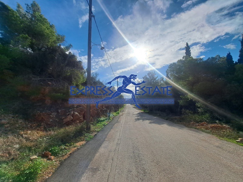 Οικόπεδο 1.070 τ.μ. πρός πώληση, Αθήνα - Ανατολικά Προάστια, Μαραθώνας