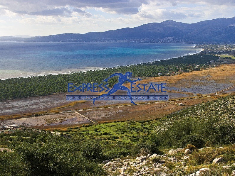 Οικόπεδο 1.070 τ.μ. πρός πώληση, Αθήνα - Ανατολικά Προάστια, Μαραθώνας