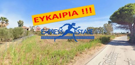 Αγροτεμάχια 2.700 τ.μ. προς πώληση