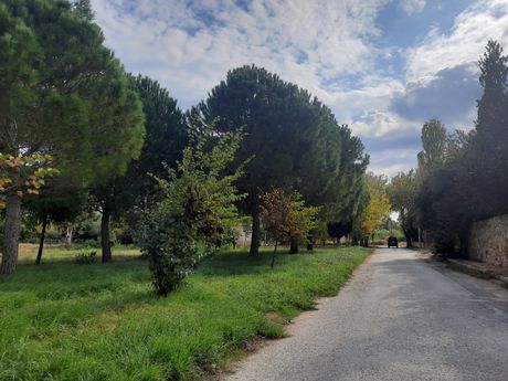 Οικόπεδο 740τ.μ. για πώληση-Μαραθώνας