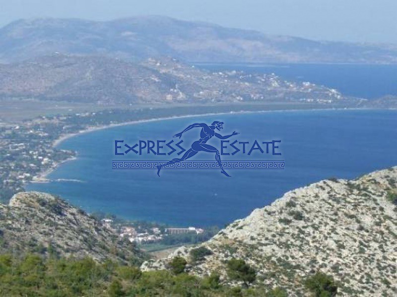 Οικόπεδο 550 τ.μ. πρός πώληση, Αθήνα - Ανατολικά Προάστια, Μαραθώνας