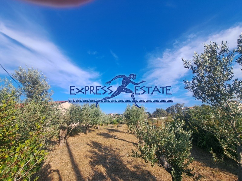 Μονοκατοικία 70 τ.μ. πρός πώληση, Αττική - Υπόλοιπο, Ραφήνα