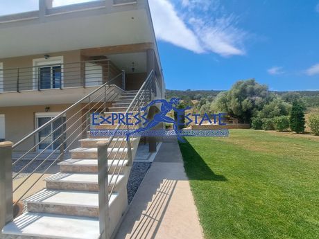 Διαμέρισμα 60τ.μ. για ενοικίαση-Μαραθώνας