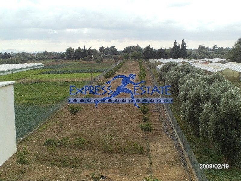 Κτίριο 715 τ.μ. πρός πώληση, Αθήνα - Ανατολικά Προάστια, Μαραθώνας