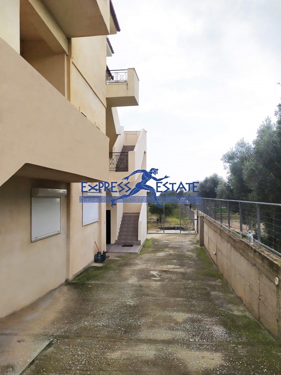 Κτίριο 715 τ.μ. πρός πώληση, Αθήνα - Ανατολικά Προάστια, Μαραθώνας