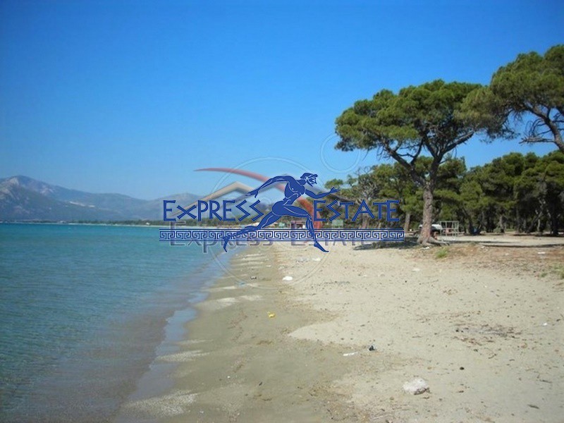 Οικόπεδο 352 τ.μ. πρός πώληση, Αθήνα - Ανατολικά Προάστια, Μαραθώνας