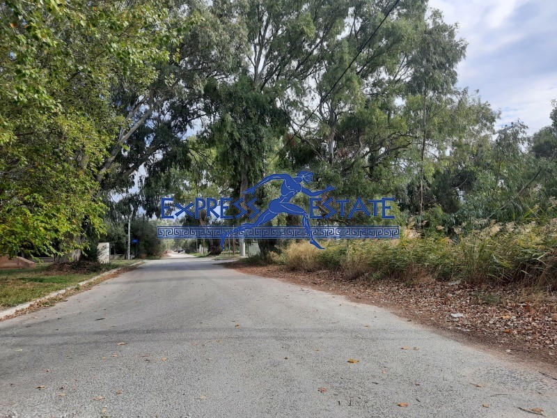 Οικόπεδο 352 τ.μ. πρός πώληση, Αθήνα - Ανατολικά Προάστια, Μαραθώνας