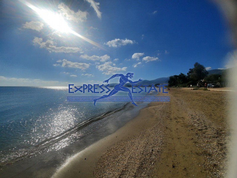Οικόπεδο 352 τ.μ. πρός πώληση, Αθήνα - Ανατολικά Προάστια, Μαραθώνας