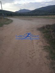 Parcel 10.000 sqm for sale