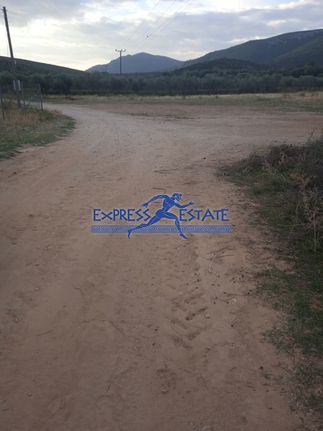 Αγροτεμάχια 10.000 τ.μ. για πώληση, Αθήνα - Ανατολικά Προάστια, Μαραθώνας