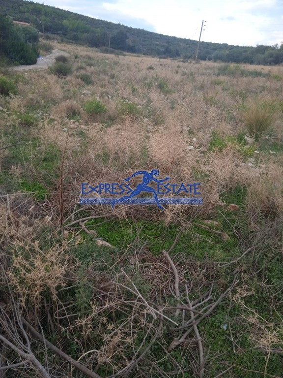 Αγροτεμάχια 10.000 τ.μ. πρός πώληση, Αθήνα - Ανατολικά Προάστια, Μαραθώνας