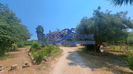 Μονοκατοικία 200τ.μ. για πώληση-Μαραθώνας