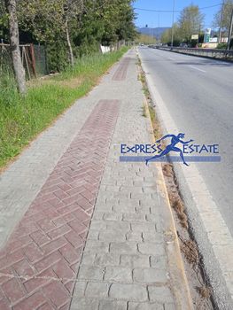 Οικόπεδο 1.650τ.μ. για πώληση-Μαραθώνας