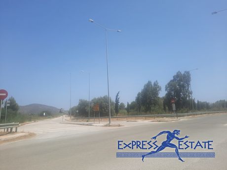 Οικόπεδο 2.500τ.μ. για πώληση-Μαραθώνας