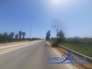 Αγροτεμάχια 2.500 τ.μ. για πώληση