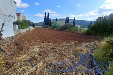 Οικόπεδο 1.800τ.μ. για πώληση-Μαραθώνας