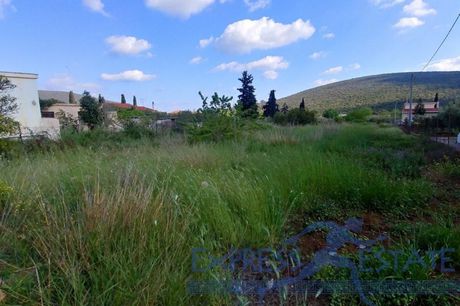 Οικόπεδο 3.550τ.μ. για πώληση-Μαραθώνας