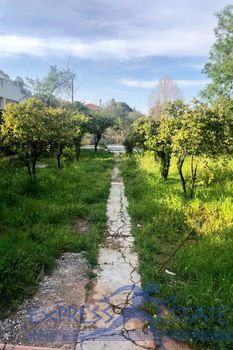 Οικόπεδο 592τ.μ. για πώληση-Νέα μάκρη