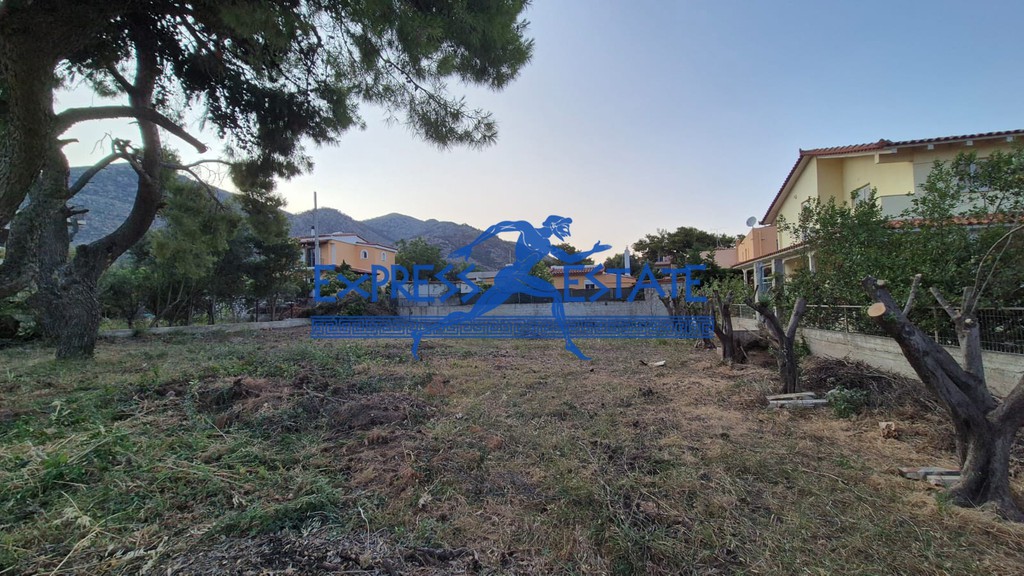 Οικόπεδο 580 τ.μ. πρός πώληση, Αθήνα - Ανατολικά Προάστια, Νέα Μάκρη