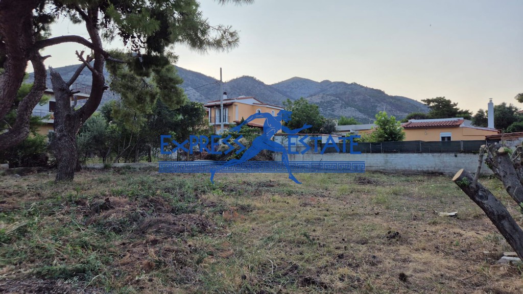 Οικόπεδο 580 τ.μ. πρός πώληση, Αθήνα - Ανατολικά Προάστια, Νέα Μάκρη