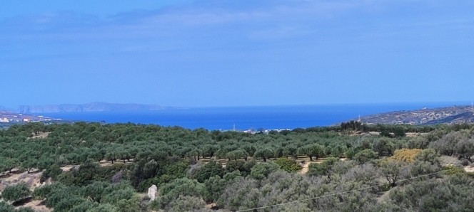 Αγροτεμάχια 143.000 τ.μ. προς πώληση, Πισκοκέφαλο