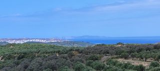 Αγροτεμάχια 143.000 τ.μ. για πώληση