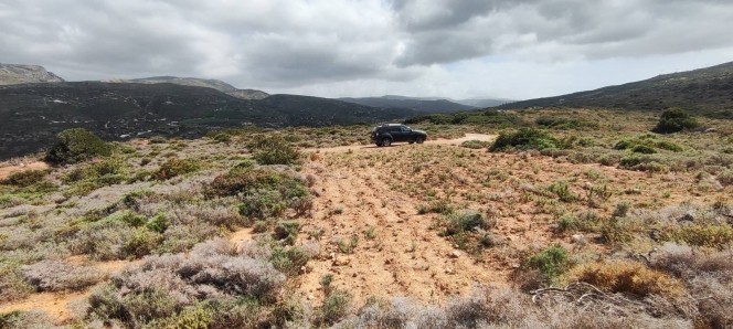 Αγροτεμάχια 143.000 τ.μ. προς πώληση, Πισκοκέφαλο