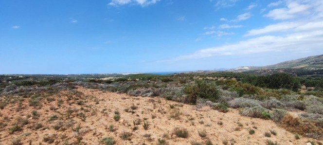 Αγροτεμάχια 143.000 τ.μ. προς πώληση, Πισκοκέφαλο
