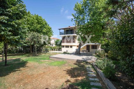 Μεζονέτα 365τ.μ. για πώληση-Πορταριά » Άλλη μεριά